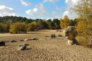View from Cul de Chien sector in Fontainebleau including the iconic 'statue'