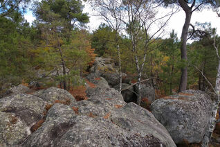 View over a pretty secret bouldering sector in Fontainebleau