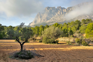 View of the Puig Campana peak from the other side